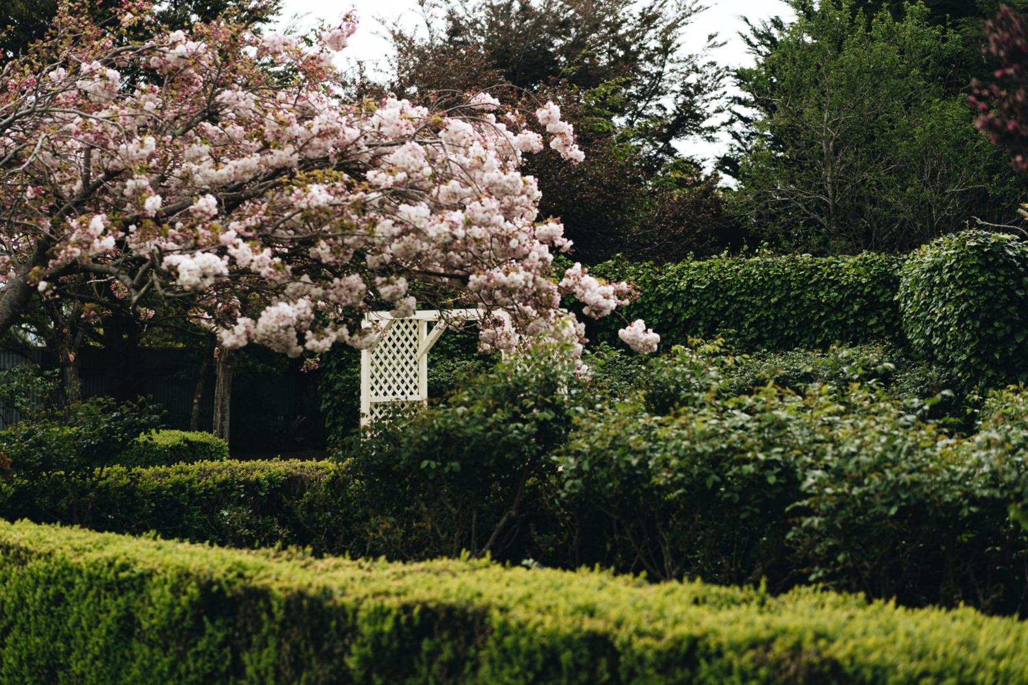 Brackenridge Country Retreat & Spa Martinborough Extérieur photo