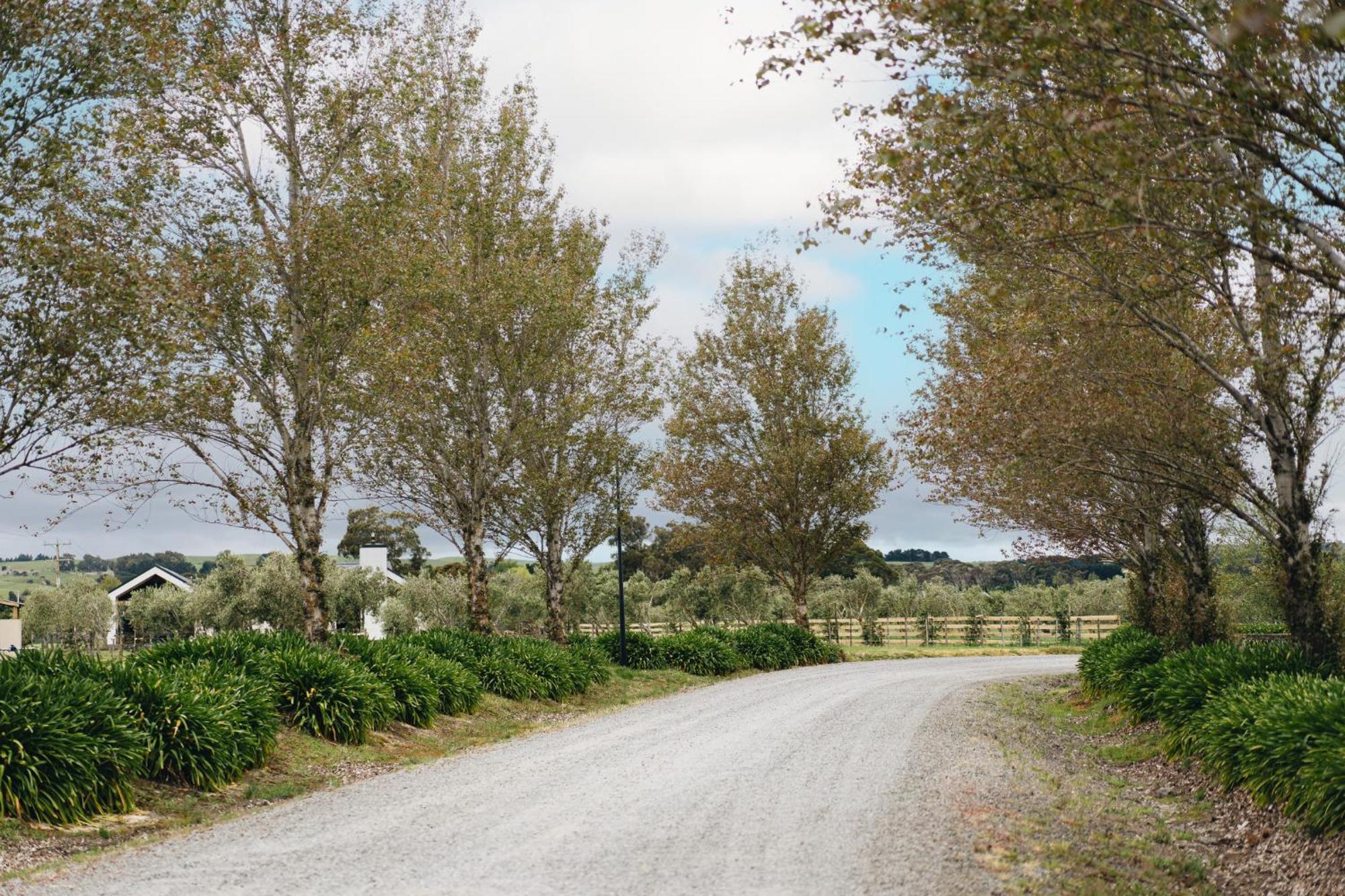 Brackenridge Country Retreat & Spa Martinborough Extérieur photo